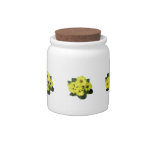 Light Yellow Primroses Candy Jars