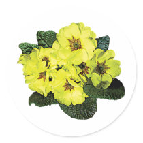 Light Yellow Primroses stickers