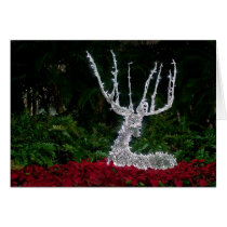 Lighted Deer cards