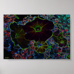 lighted flower posters