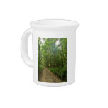 Lighted path in forest beverage pitcher