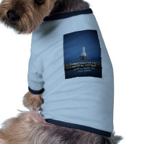 lighted path lighthouse pet clothing