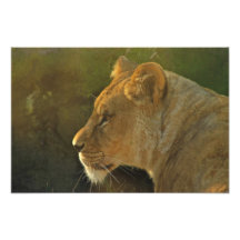 Lighted Queen Photo