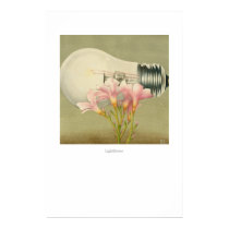 Lightflower posters