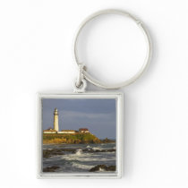 Lighthouse at Pigeon Point State Beach in San 2