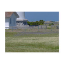 Lighthouse field of flowers postcard