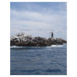 Lighthouse Flyer Design