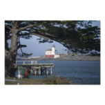 Lighthouse through the Trees Photograph