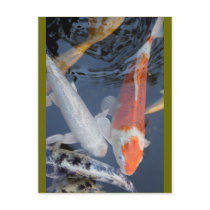 lightner's 043 postcards