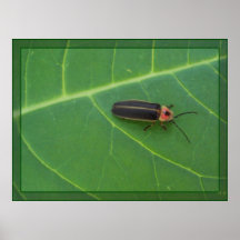 Lightning Bug on Leaf Print