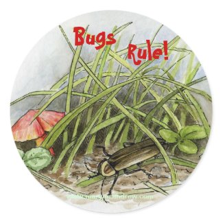 Lightning Bug or Beetle Under Grass with Mushroom zazzle_sticker