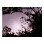 Lightning over Lawnton Post Card