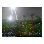 flowers, rain, lightning, storm, sky, night,