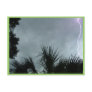 Lightning Strike In Tampa Fl, Post Card