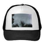 Lightning Strike In Tampa Fl, Trucker Hats