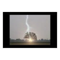 Lightning Strikes Oak Tree posters by lars_lentz Lightning Strikes Oak Tree posters