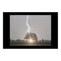 Lightning Strikes Oak Tree posters