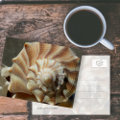 Lightning Whelk Shell Photography Postcard postcard