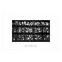 Lights I posters