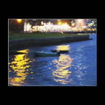 Lights of Luna Park postcards