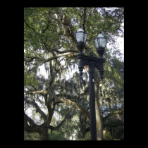 Lights with Moss posters