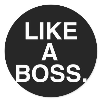 like_a_boss_sticker-p217188006150935597envb3_400.jpg