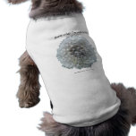 Like a Dog w/a Wishbone Pet Shirt