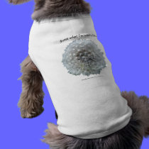 Like a Dog w/a Wishbone pet clothing