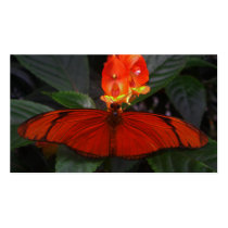 like a firefly business cards by dawnmcininch like a firefly business cards