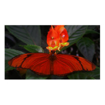 like a firefly business cards by dawnmcininch like a firefly business cards