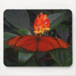 like a firefly mouse pad