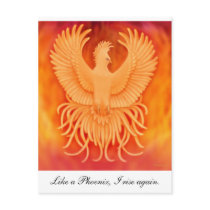 Like a Phoenix Postcard