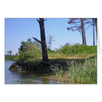 Like a tree...Notecards cards