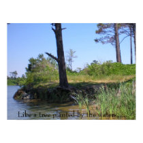 Like a tree... posters