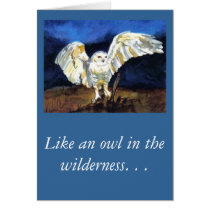 Like an owl in the wilderness. . . cards