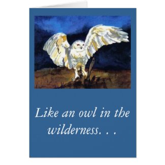 Like an owl in the wilderness. . . Like an owl in the wilderness. . .