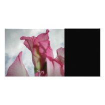 Like Crystal photo cards