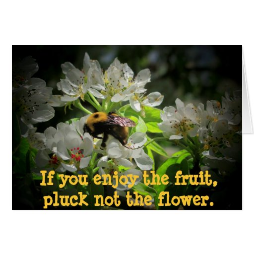 Like Fruit? Pluck Not the Flower Card Zazzle