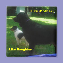 Like Mother, Like Daughter magnets
