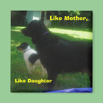 Like Mother, Like Daughter magnets