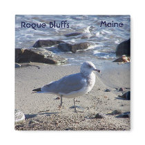 Likes Walks on the Beach magnets