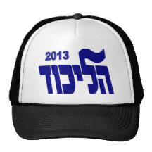Likud 2013 mesh hat
