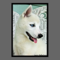 LiL Abby Blue Eyes posters by lorale LiL Abby Blue Eyes posters