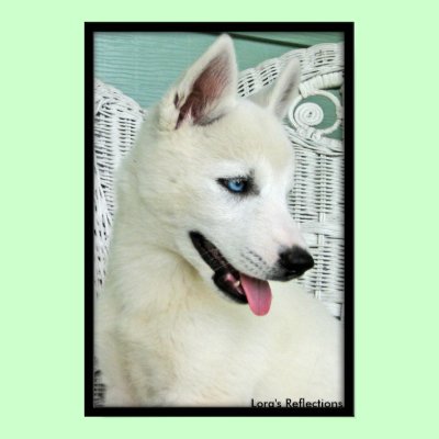 LiL Abby Blue Eyes Print by lorale