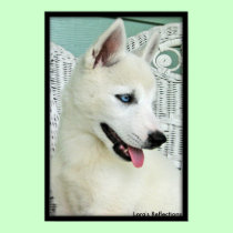 LiL Abby Blue Eyes posters by lorale LiL Abby Blue Eyes posters