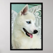 LiL Abby Blue Eyes Print