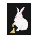 Lil Britches postcards by cimmerrian Lil Britches postcards