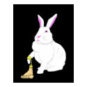 Lil Britches posters by cimmerrian Lil Britches posters