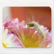 Lil' Caterpillar mousepads