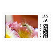 Lil' Caterpillar postage by lioneyes Lil' Caterpillar postage